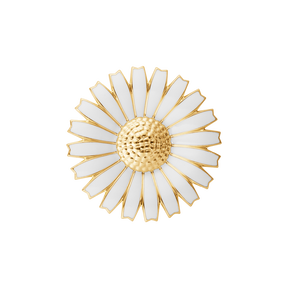 DAISY mindebroche DAISY mindebroche