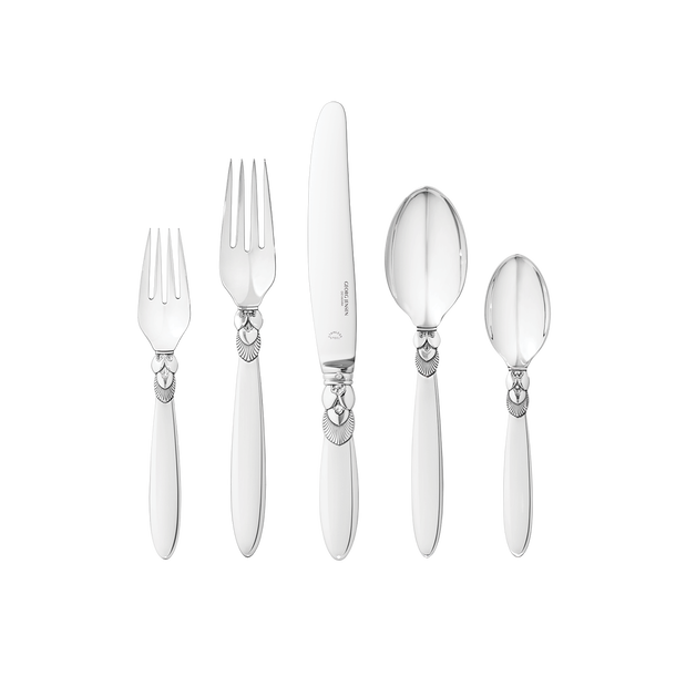 CACTUS 5 pcs. set