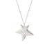 2021 Ornament, Five Point Star