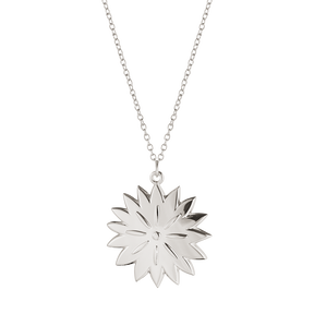 2020 Ornament, Ice Dianthus