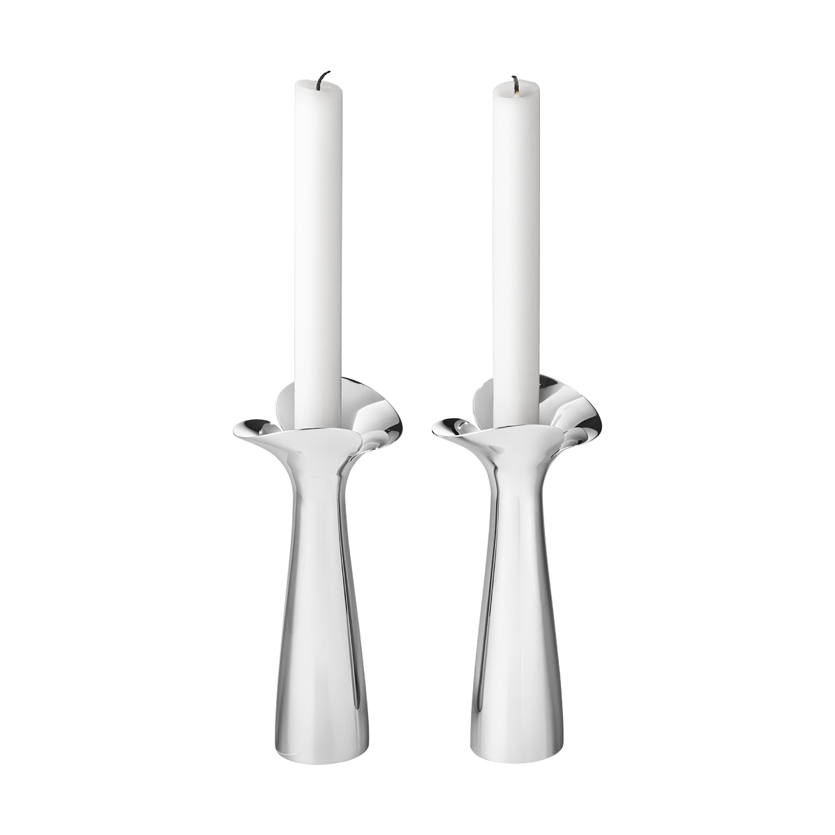 BLOOM BOTANICA beautiful candleholders stainless steel