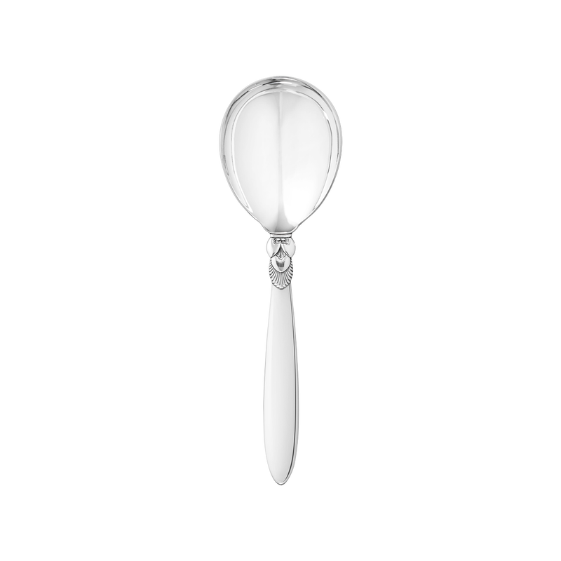 CACTUS Serving spoon, small