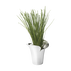 BLOOM BOTANICA Flower Pot, Petit