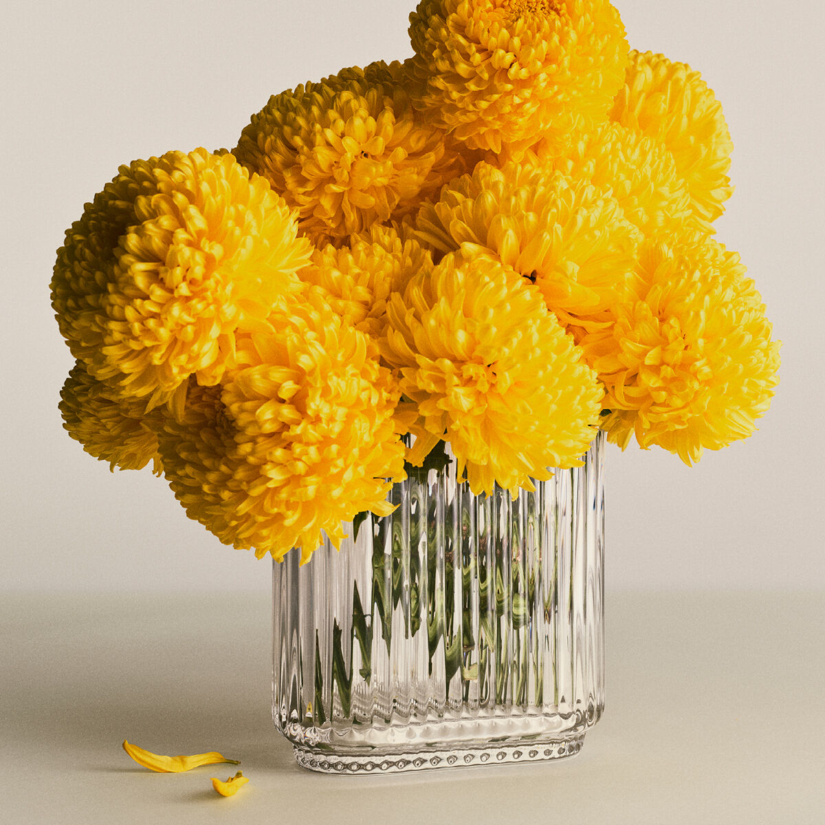 SS25_Home_ecom_Prodcutpage_120