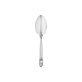 ACORN Gourmet spoon