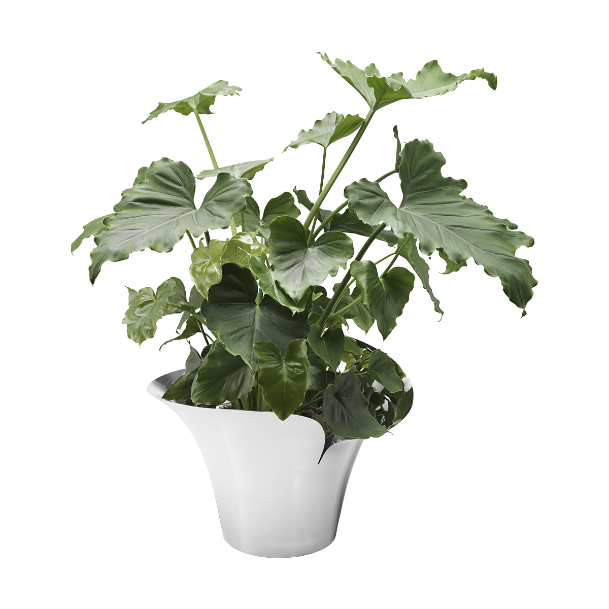 BLOOM BOTANICA Flower pot, Large I Jensen