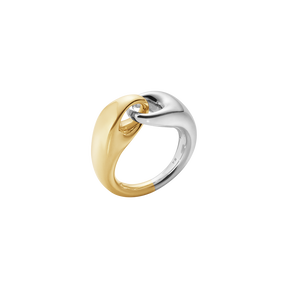 REFLECT link ring, stor