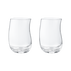 COBRA 玻璃杯，中型，2 件組