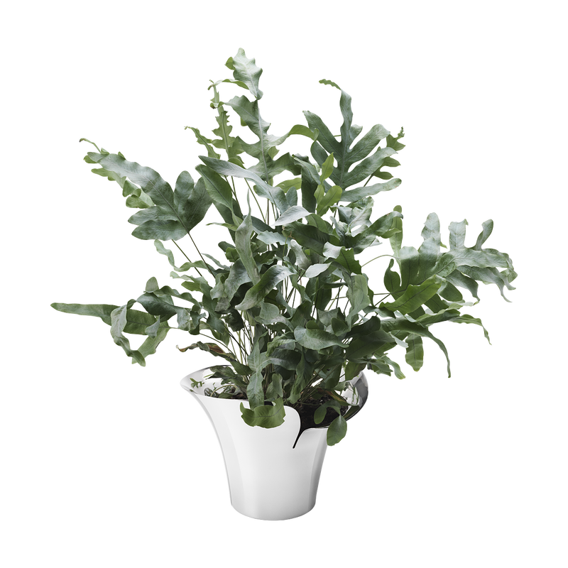 BLOOM BOTANICA Flower pot, Medium