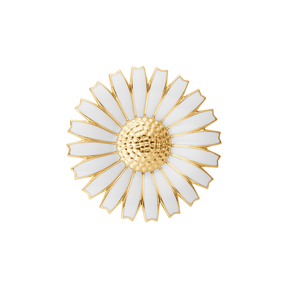 DAISY mindebroche