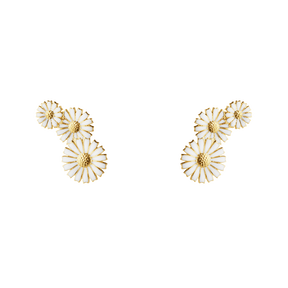 DAISY &ouml;rh&auml;ngen