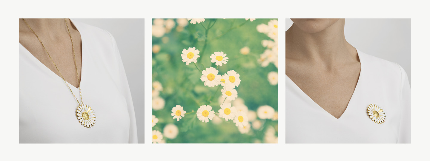 Georg Jensen Daisy collection 18kt gold plated sterling silver necklace with white enamel brooch pendant on model