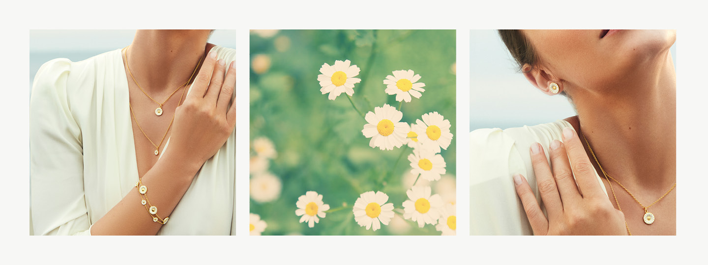 The Daisy collection | Georg