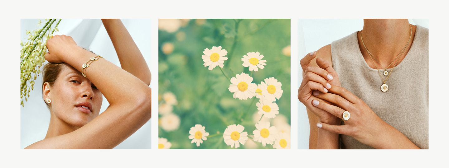On model grid image with 18 kt. gold plated bracelets and rings with white enamel from the Daisy collection designed by Georg Jensen